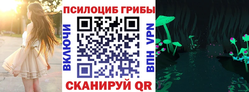 omg как войти  Красновишерск  Псилоцибиновые грибы Psilocybine cubensis 
